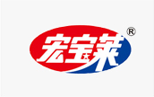 宏宝莱 宏宝莱